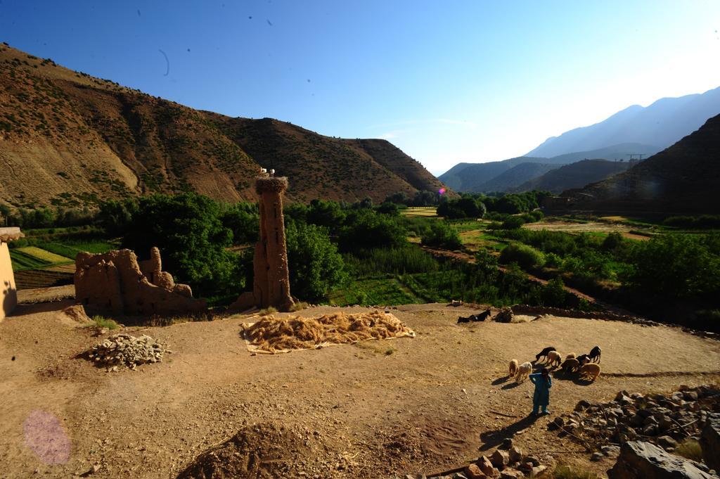 Riad La Fibule Berbere Tabant ภายนอก รูปภาพ